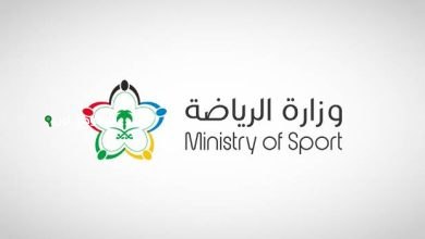 لجنة الاستدامة المالية