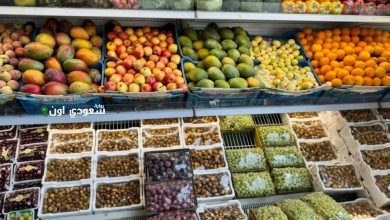 بساتين الطائف تجذب الأسواق والسياح بالتين وشتلات الترنج في موسم وفير