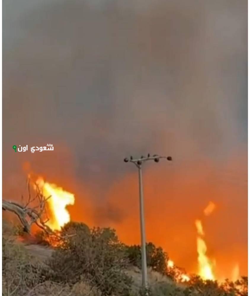 جهود متواصلة تساهم في إخماد حريق هائل في منطقة شعوف بلّسمر