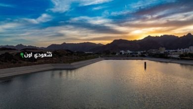 بحيرة أجا: تجربة هادئة من الطبيعة الأوروبية في قلب المنطقة النجدية