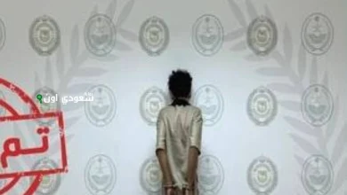القبض على مروج مخدرات في الجوف متضمنًا الإمفيتامين والحشيش وأقراص طبية ممنوعة