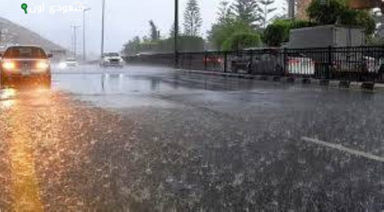 «الأرصاد» تصدر تحذيراً متقدماً لهطول أمطار غزيرة في منطقة الباحة