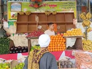 حملة رقابية بجدة تصادر 3.4 أطنان من الخضروات والفواكه