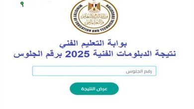 اعرف الان تنسيق الدبلومات الفنية 2025 تعرف على شروط القبول وأهم الكليات المتاحة لطلاب الصنايع