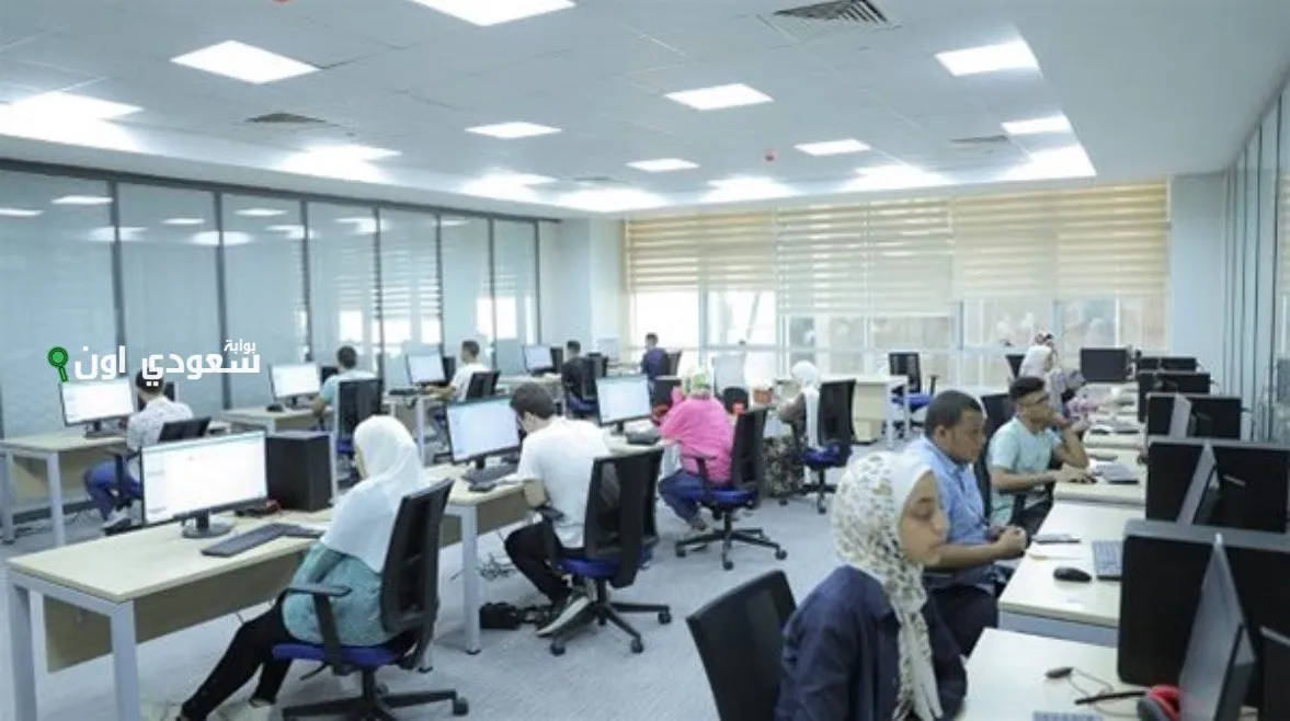 فرصة مميزة لفهم تنسيق الدبلومات الفنية 2025 لدبلوم تجارة والكليات وشروط القبول الأساسية