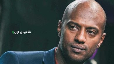 الفنان أمير صلاح الدين