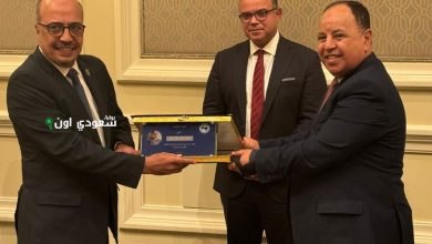 الهيئة الرقابية المالية برئاسة الدكتور محمد معيط