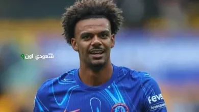 ريناتو فيجا