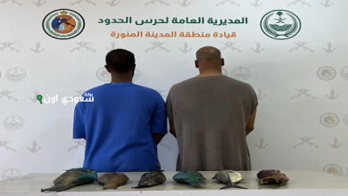 مخالفة لائحة الأمن والسلامة لممارسة الأنشطة البحرية مخالفتان ضبطتا