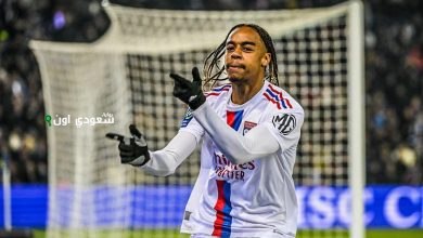 برادلي باركولا