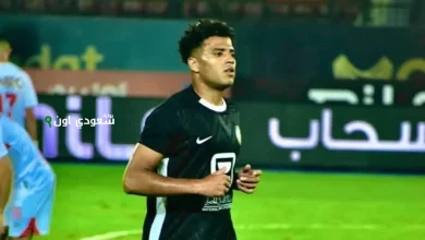 أحمد ربيع
