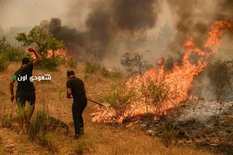 تقديم مساعدات إيوائية للمتضررين من حرائق اللاذقية في خطوة إنسانية عاجلة
