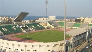 ملعب السيد متولي