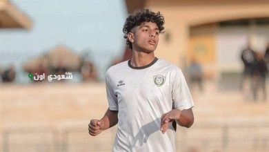 يوسف الشيمي