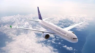 خدمات النقل الجوي