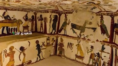 استكشف الصالة التي تحتضن أحفاد الفراعنة في البطولة