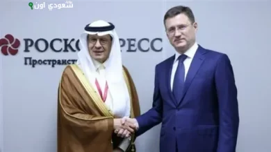وزير الطاقة يستعرض سبل تعزيز التعاون مع نائب رئيس الوزراء الروسي في لقاء رسمي