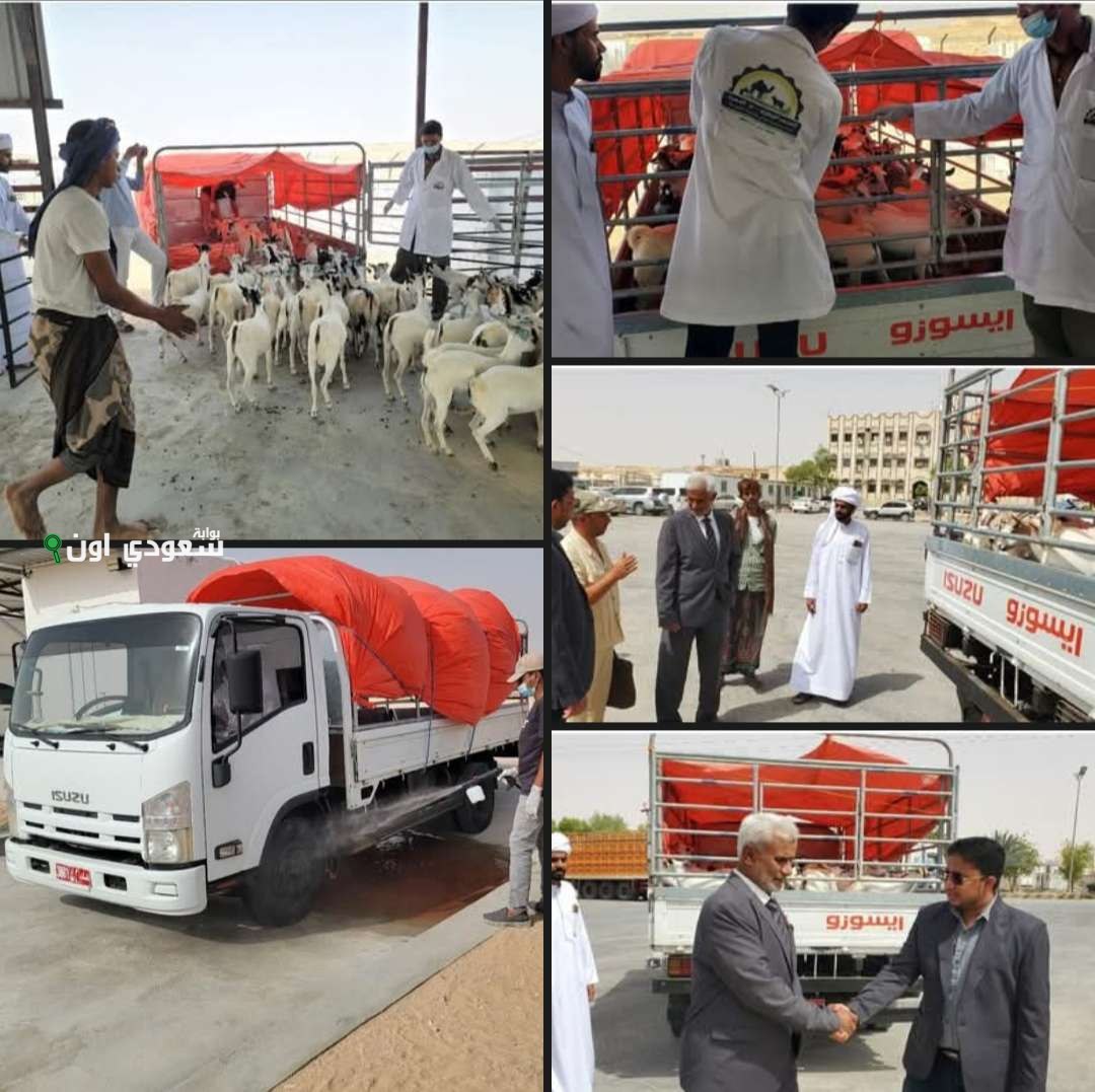 أمن لحج يتمكن من إحباط محاولة تهريب مقطورات غاز