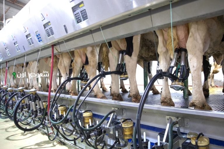 برنامج تطوير الثروة الحيوانية والسمكية