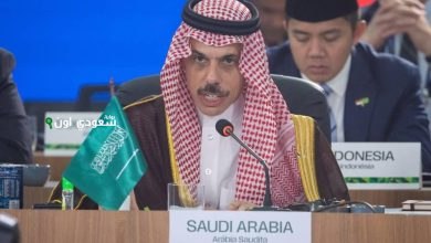 وزير الخارجية يبرز أهمية التعاون الدولي في قضايا المناخ والصحة وإنهاء أزمة غزة