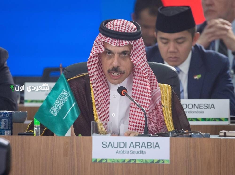 وزير الخارجية يبرز أهمية التعاون الدولي في قضايا المناخ والصحة وإنهاء أزمة غزة