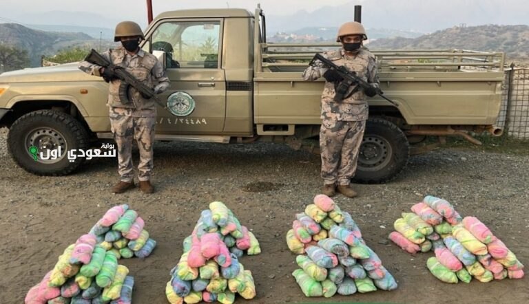 إحباط محاولة تهريب 31 كيلوجرامًا من القات في جازان