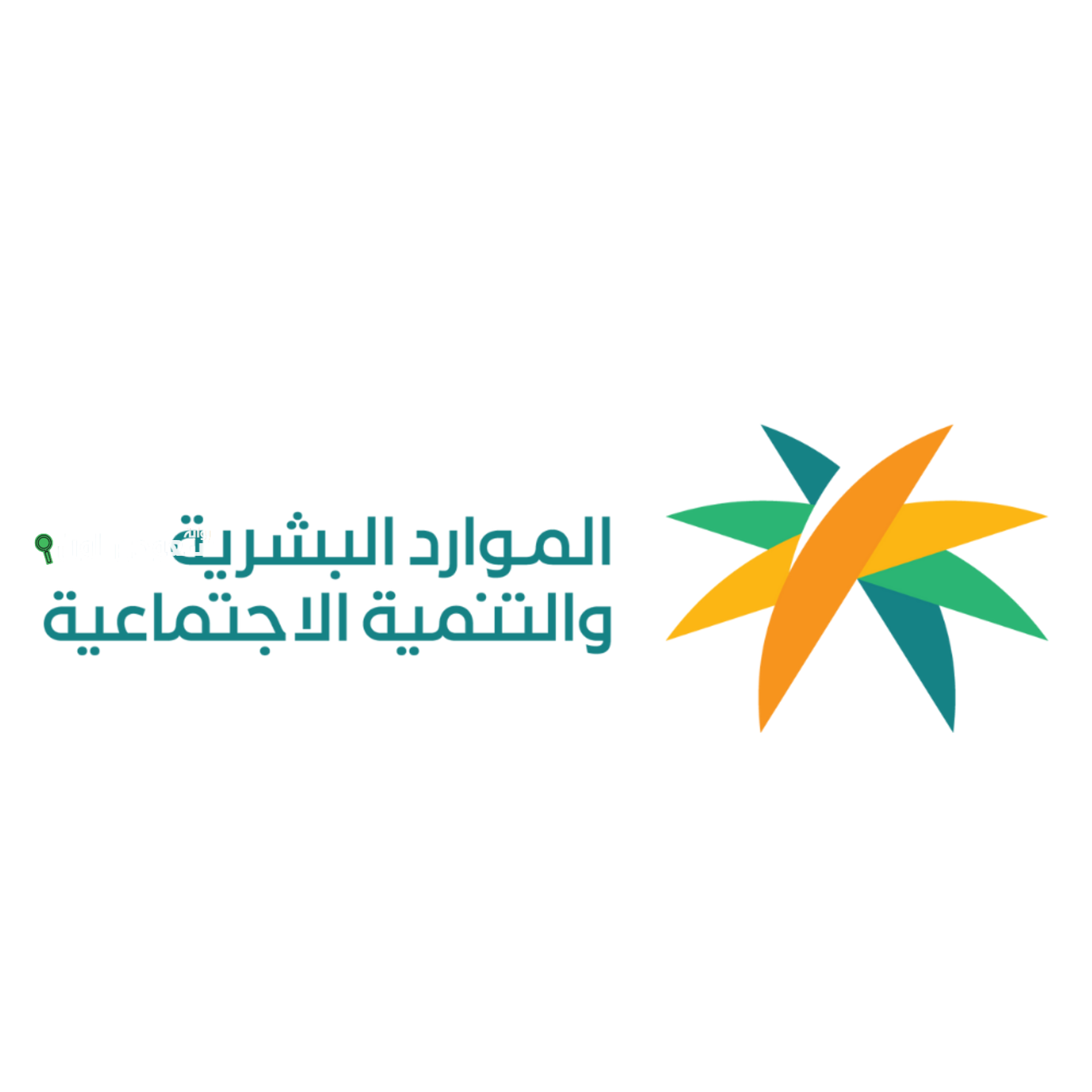 إطلاق فعاليات "أسبوع المهارات"