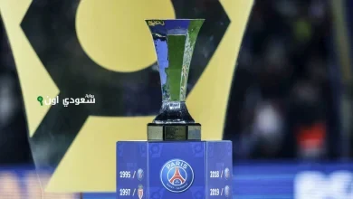 دوري الأبطال الفرنسية