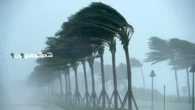 رياح قوية تضرب مدينة حائل بشكل مفاجئ وجذري