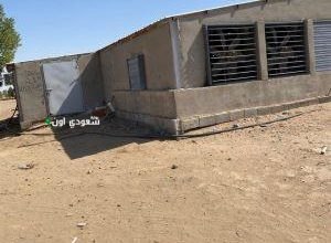 ضبط ثلاث مشاريع لإنتاج الدواجن عشوائياً في محافظة خليص بالمدينة المنورة