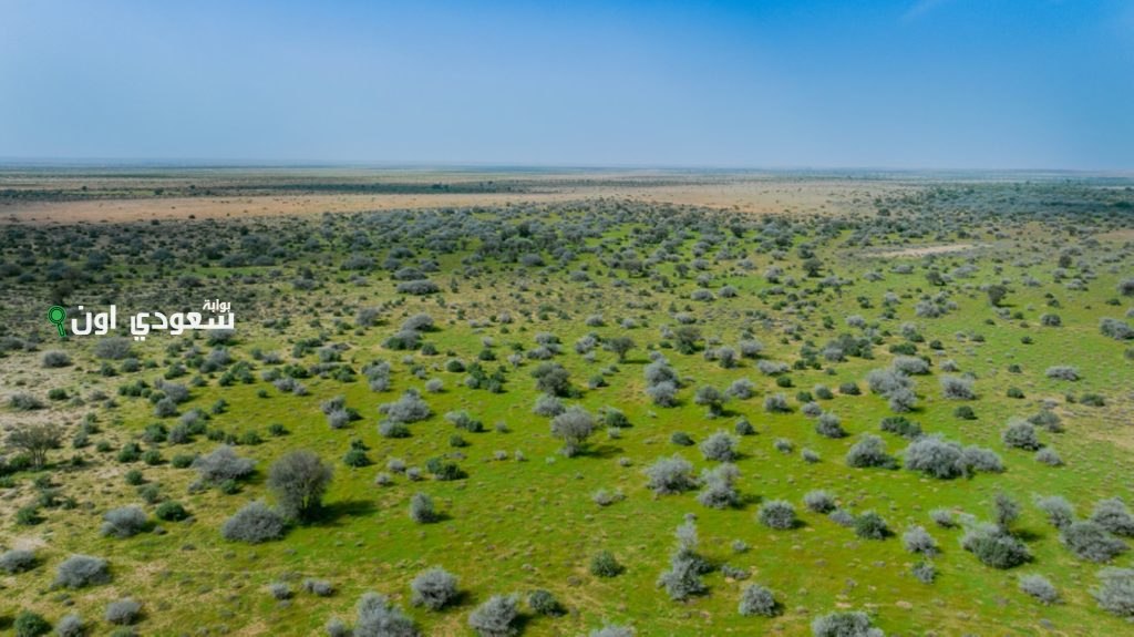 ضبط مواطن بمخالفته لقاعد الرعي بمحمية الملك عبدالعزيز