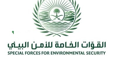 الأمن البيئي