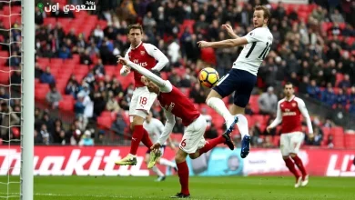 تشكيل توتنهام