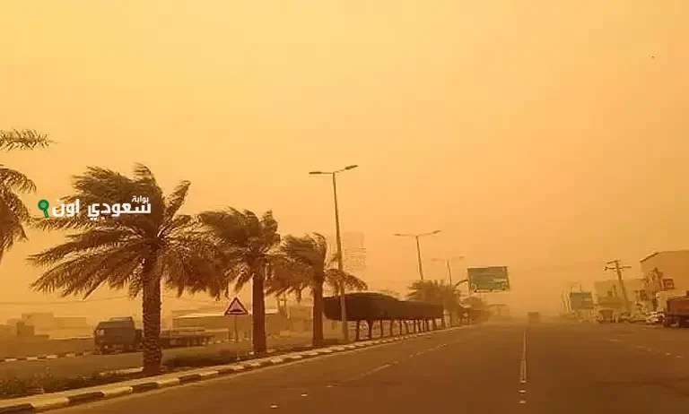 رياح نشطة وأتربة مثارة في منطقة الباحة خلال الأيام المقبلة