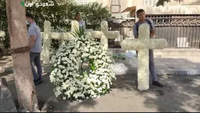 مراسم استقبال لطفى لبيب