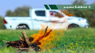 ضبط مواطن خالف نظام البيئة بإشعال النار في أراضي الغطاء النباتي بعسير