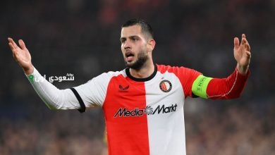 دافيد هانكو