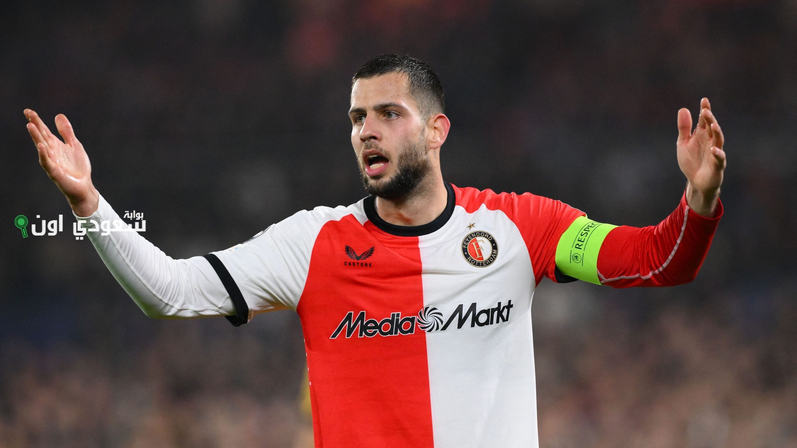 دافيد هانكو