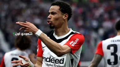إيكيتيكي