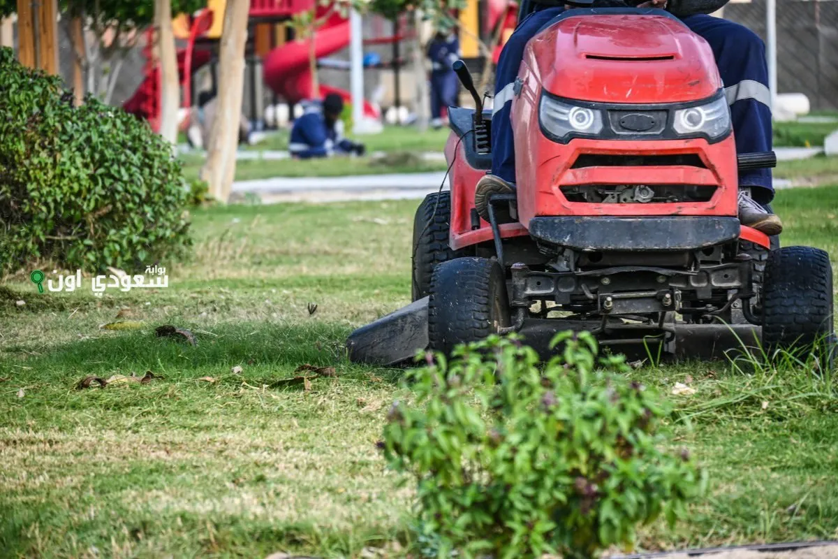 لدية الظهران في تنفيذ أعمال الصيانة للحدائق العامة في المدينة
