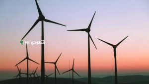 السعودية تعزز استثمارات الطاقة المتجددة بمشروع رياح جديد