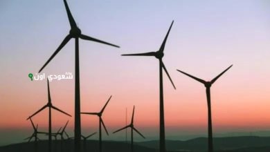 السعودية تعزز استثمارات الطاقة المتجددة بمشروع رياح جديد