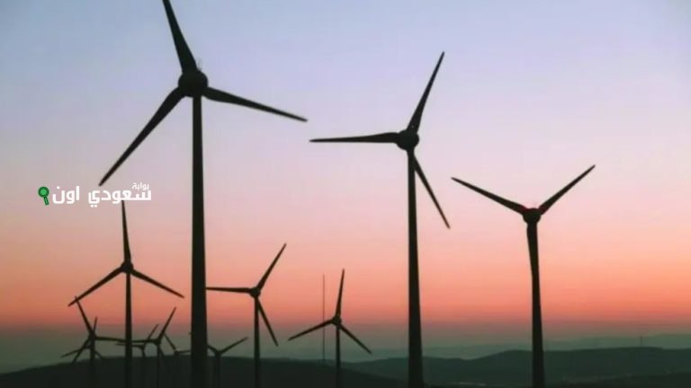 السعودية تعزز استثمارات الطاقة المتجددة بمشروع رياح جديد