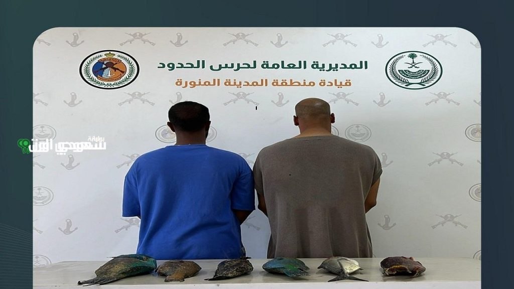 ضبط ستة مخالفين لائحتي الأمن والسلامة الأنشطة البحرية بالمدينة المنورة