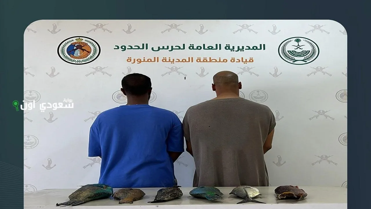 ضبط ستة مواطنين لمخالفتهم لائحة الأمن والسلامة لمزاولي الأنشطة البحرية