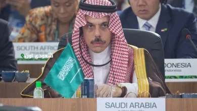 «حقوق الإنسان» يعتمد بالإجماع قرار المملكة لحماية الأطفال من المخاطر في الفضاء الرقمي