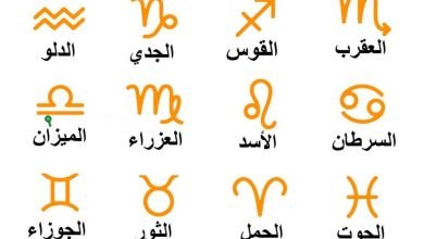 توقعات الأبراج الفلكية اليوم