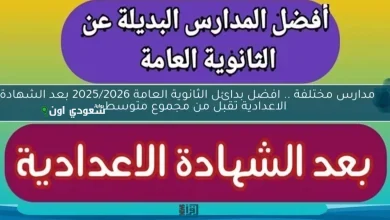 بدائل الثانوية العامة المتاحة في 2025