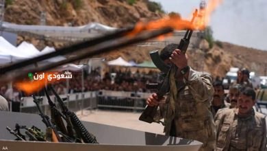 مستقبل عناصر حزب العمال الكردستاني
