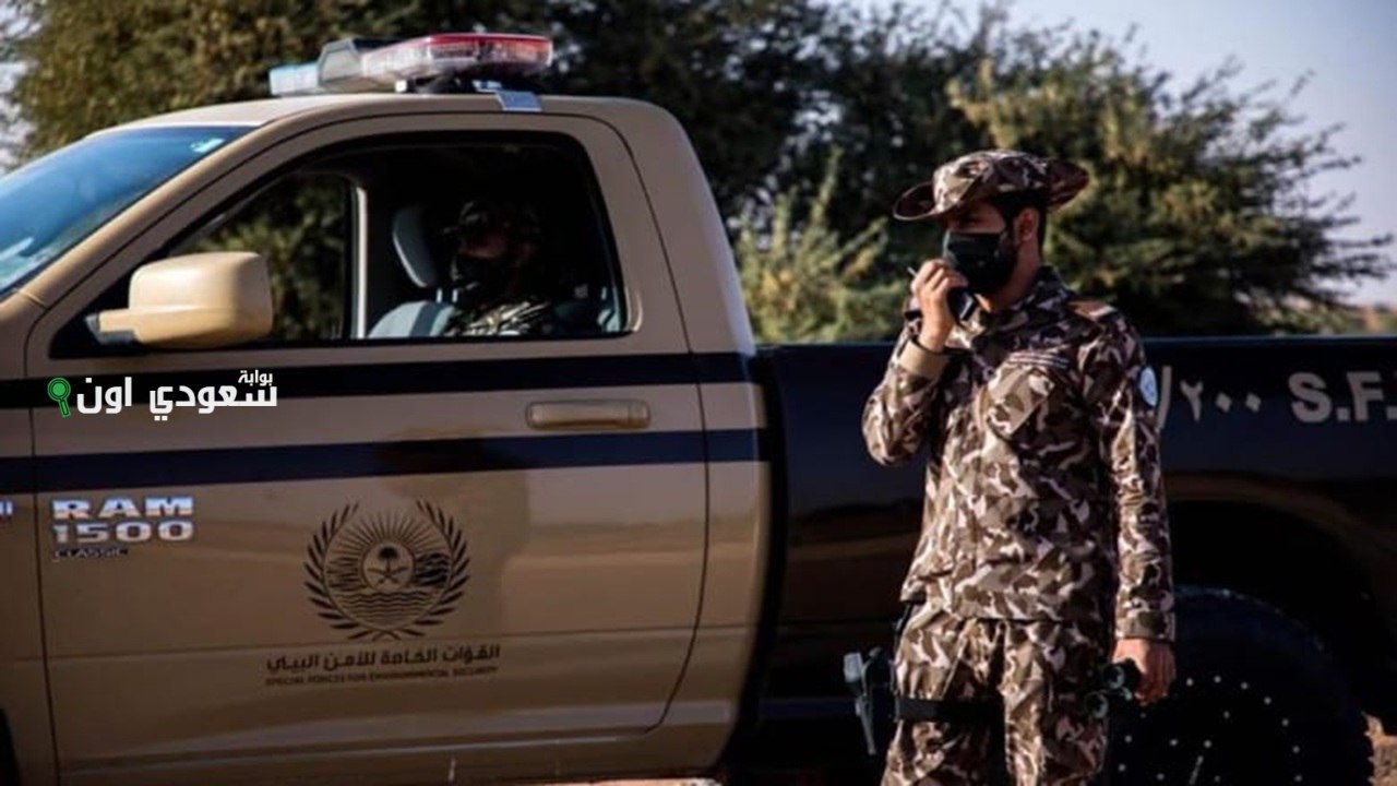 ضبط مخالف يمارس الصيد بدون ترخيص على سواحل عسير